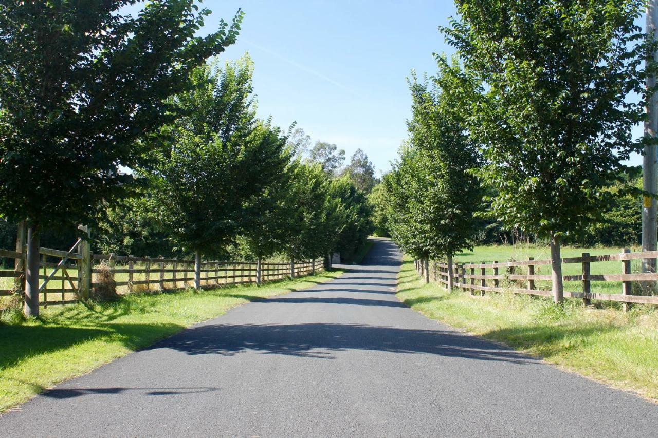 منزل الضيف The Nook County دبلن المظهر الخارجي الصورة