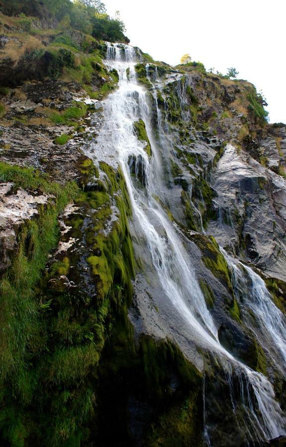 منزل الضيف The Nook County دبلن المظهر الخارجي الصورة